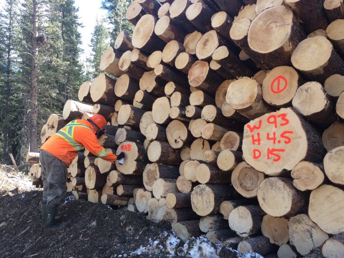 Alberta Logs