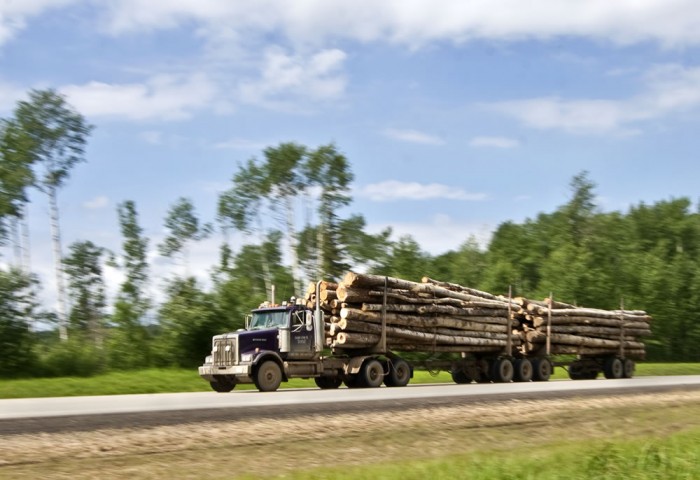 Log Truck 3 - FPAC