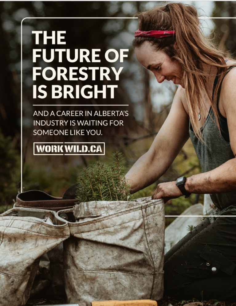 Forestry Job Brochure Work Wild