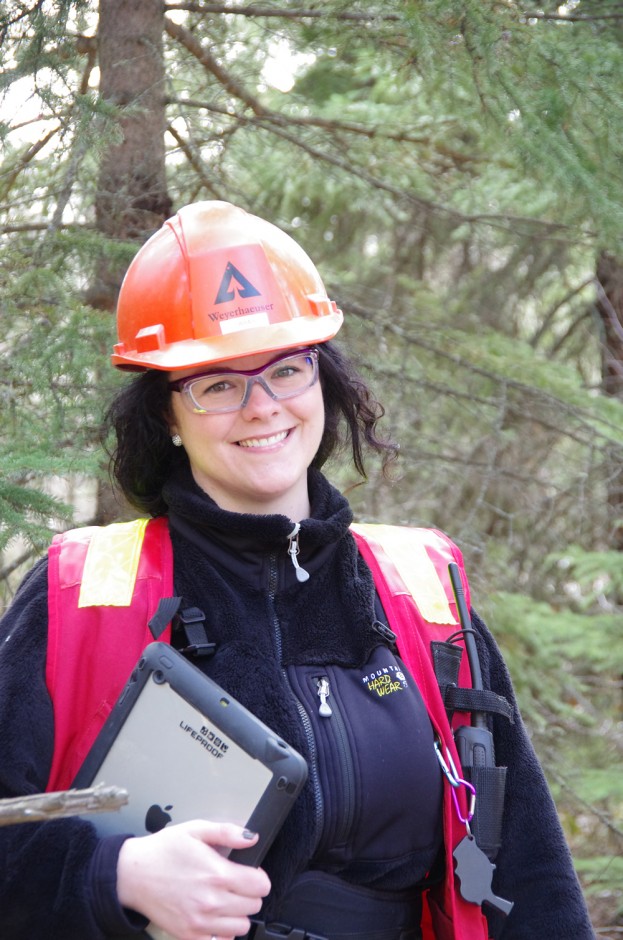 Forestry Job Profile Planning Forester Work Wild