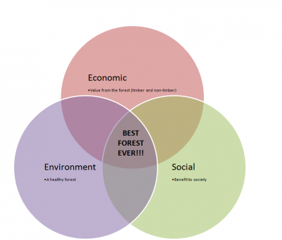 venn